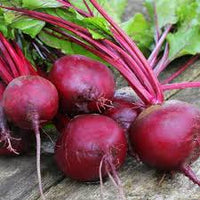 Red Beetroot Seeds for Planting - Grow Delicious Vegetables