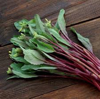 Purple Kosaitai Vegetable Seeds for Planting