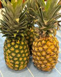 Yellow Pineapple Fruit Seeds for Home Planting