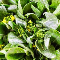 Yu Choy Vegetable Planting Seeds