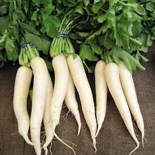 Radish Seeds for Planting  Grow Your Own Vegetables