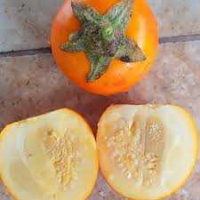 Naranjilla Fruit Seeds for Planting - Grow Exotic Fruits