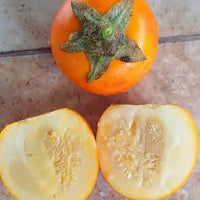 Naranjilla Fruit Seeds for Planting - Grow Exotic Fruits