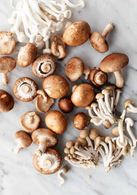 Indoor Mushroom Cultivation with Mixed Seeds