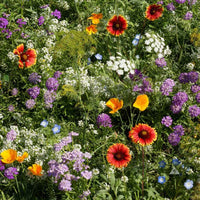 Mix nApple Blossom Flower seeds for Planting - Pollinator Friendly, Heirloom & GMO Free Seeds for Home Garden