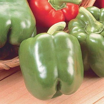 Jupiter pepper seeds for home gardeners