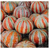 Brown Muskmelon Seeds for Planting