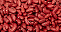Red Kidney Bean seedlings growing from seeds