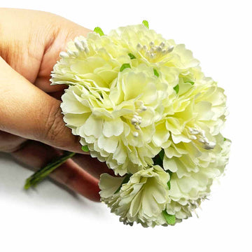 Light Yellow Carnation Flower Seeds for Planting