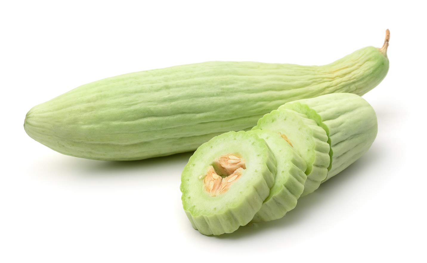 Long cucumber plants grown from Armeno Yard seeds