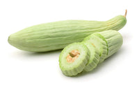 Long cucumber plants grown from Armeno Yard seeds