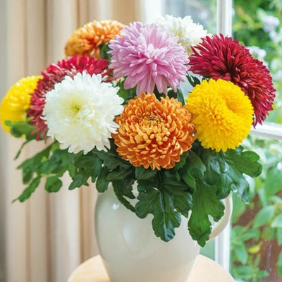 100 Pcs