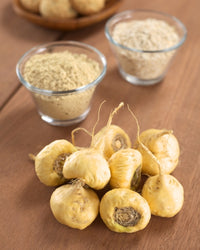 Maca Vegetable Seeds for Easy Planting