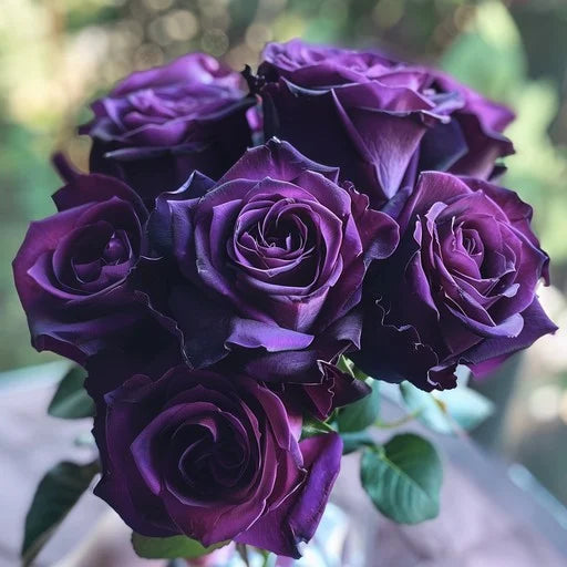 Rose Purple Black Seeds for Planting: Premium Quality Flower Seeds for Stunning Blooms