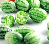 Small crunchy cucumbers grown from Melothria Scabra seeds