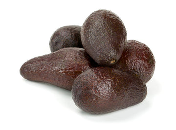 Brown Coldhardy Avocado Seeds for Planting
