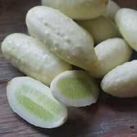 Mini White cucumber seeds for home gardens