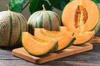 Musk Melon Plants Growing in Garden, Healthy Melon Vines with Abundant Fruit