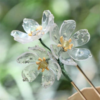 Skeleton Flower seeds for Planting - Drought Tolerant, Heirloom & GMO Free Seeds for Home Garden
