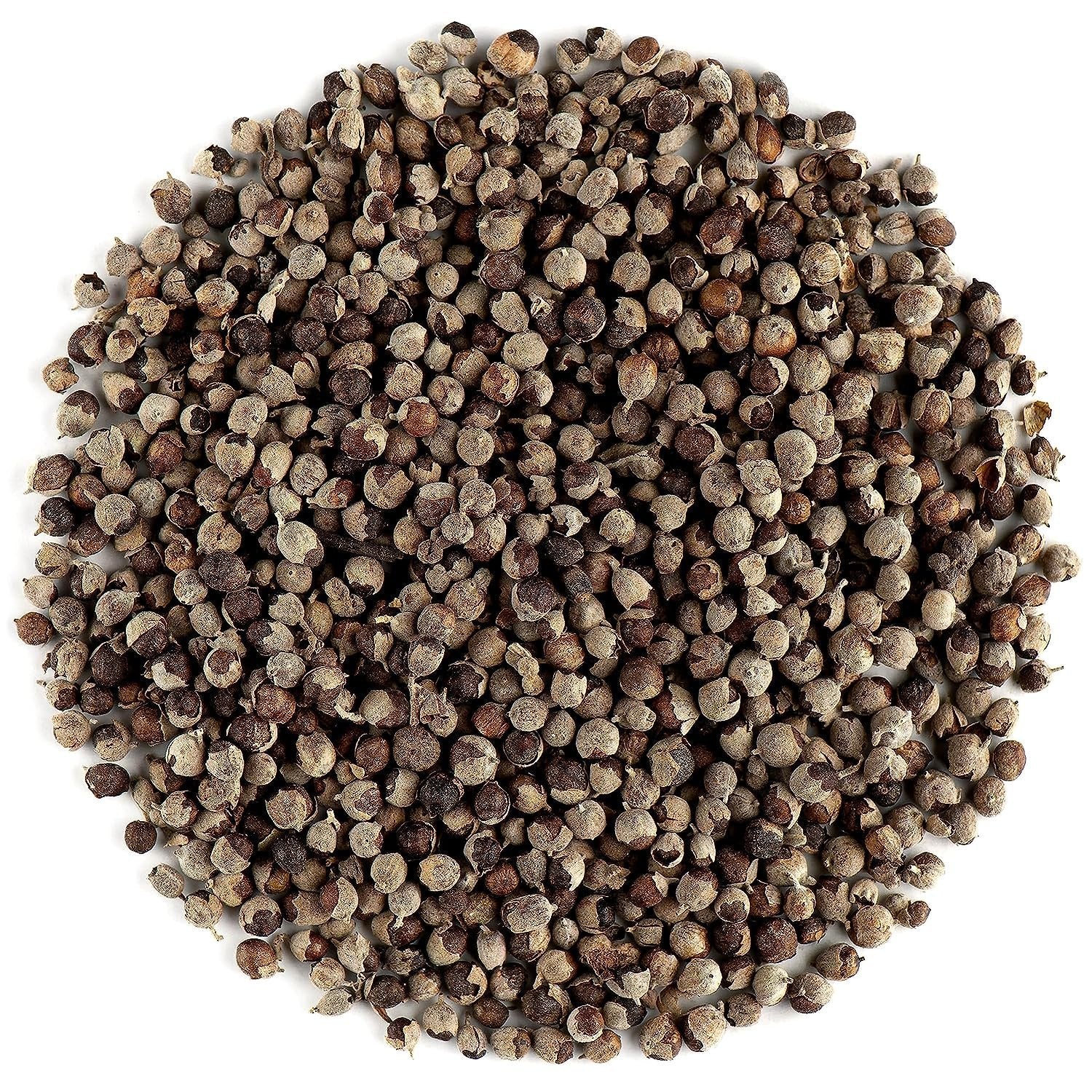 Brown Nirgundi Seeds Planting Guide