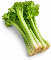 Non-GMO celery seeds for backyard planting