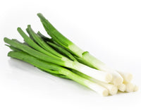 Non-GMO leek vegetable seeds for gardening