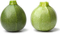Non-GMO Summer Squash seeds for vegetable patches