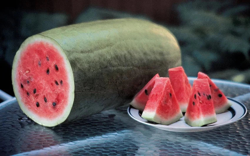 Non-GMO watermelon seeds for home garden planting