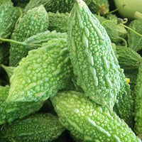 Bitter Gourd Vegetable Seeds for Your Garden