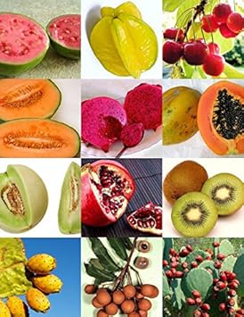 Nutritious edible fruit seeds for planting in home gardens