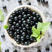 Black Cat Petunia Seeds - Ideal for Planting