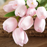 Pale Pink Tulip Flower Seeds for Planting Garden Favorite Heirloom & GMO Free Seeds for Home Garden
 
 Sale