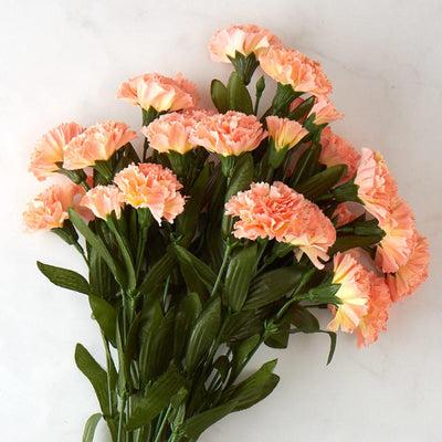 100 Pcs