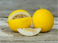 Peach Melon seeds Cucumis melo for planting in garden