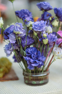 Silk Blue Lisianthus Flower seeds for Planting Perfect for Borders Heirloom & GMO Free Seeds for Home Garden