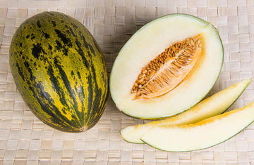 Piel de Sapo Melon seeds for planting Santa Claus melon