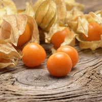 Orange Tomatillo Seeds for Easy Planting
