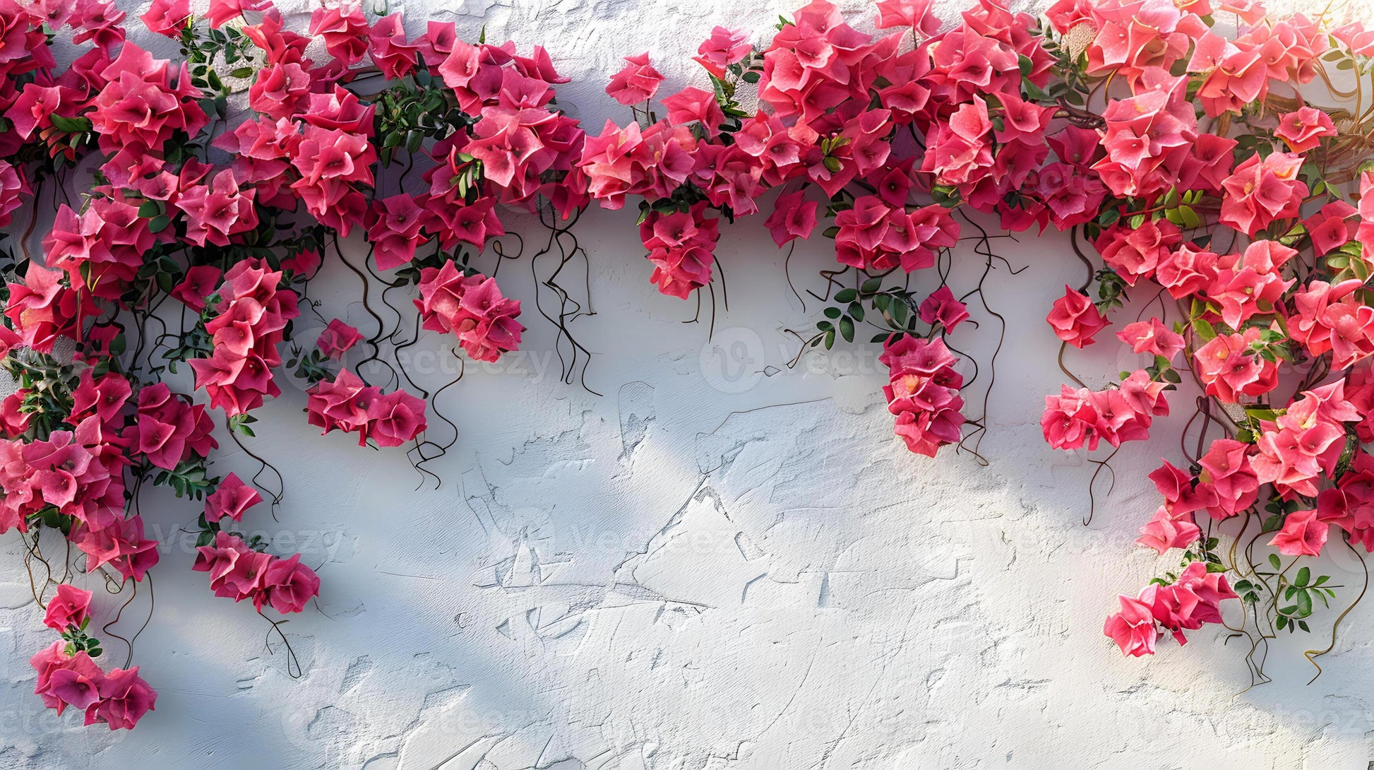 Brick Pink Bougainvillea Flower Seeds for Planting – Long Bloom Season Heirloom & NonGMO Seeds for Home Garden
 
 Sale