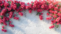 Brick Pink Bougainvillea Flower Seeds for Planting – Long Bloom Season Heirloom & NonGMO Seeds for Home Garden
 
 Sale