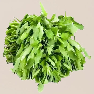 100 Pcs