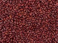 Premium Red Kidney Bean seeds for easy planting