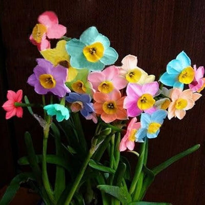 100 Pcs