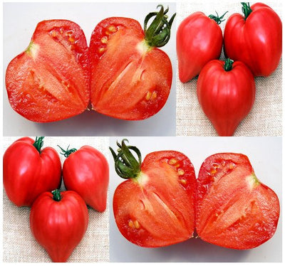 100 Pcs