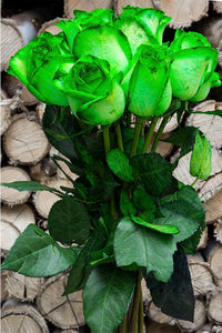Green Roses Flower seeds for Planting Compact Growth Heirloom & GMO Free Seeds for Home Garden 
 
 Sale