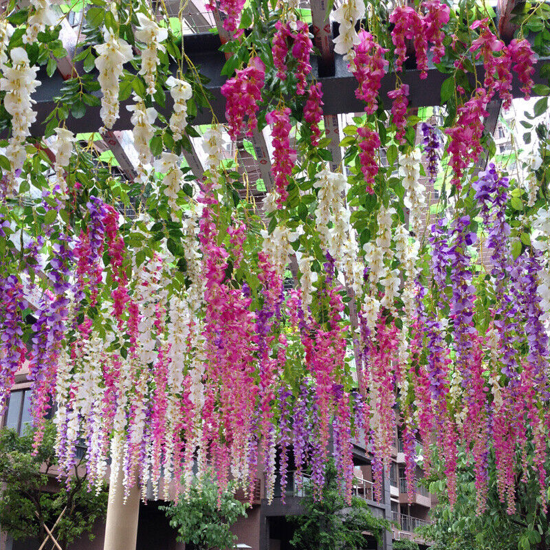 Mix Wisteria Flower seeds for Planting - Cut Flower Favorite, Heirloom & GMO Free Seeds for Home Garden