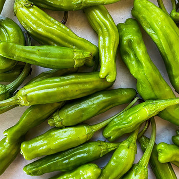 Shishito Pepper seeds (Capsicum annuum) for home vegetable garden planting