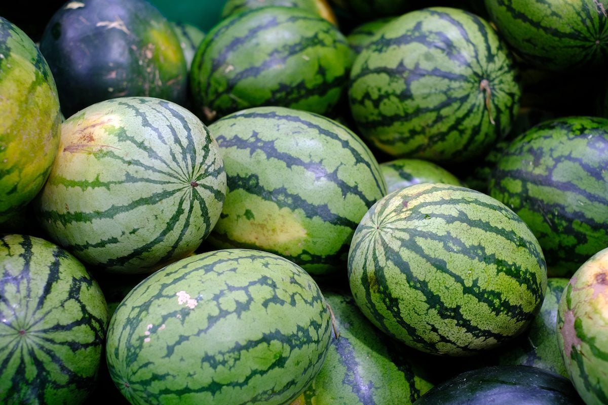 High-Quality Watermelon Seeds for Fruit Planting