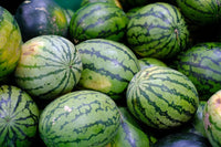 High-Quality Watermelon Seeds for Fruit Planting