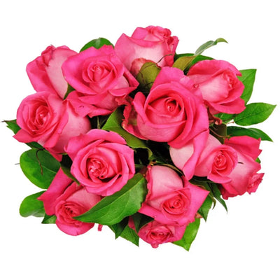 100 Pcs