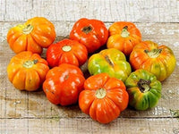 Solanum melongena Ruffled Red Eggplant plant with colorful fruits